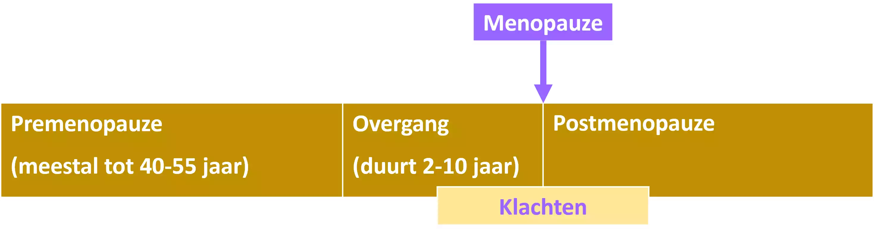 Stopvliegers